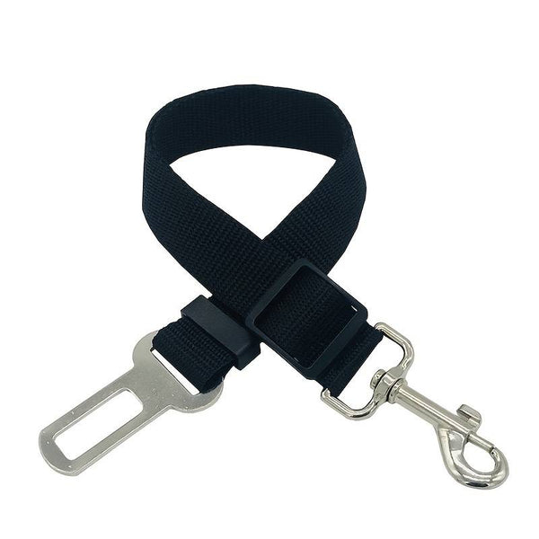 Bilbälte hund