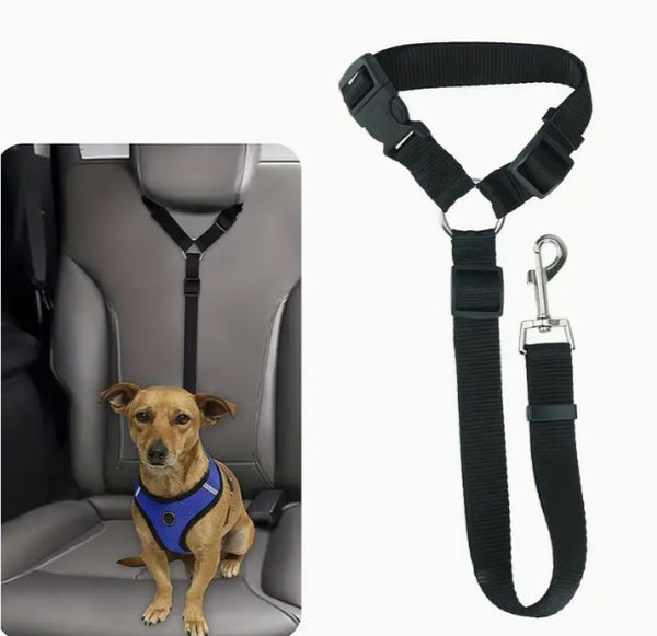 Säkerhetsbälte hund